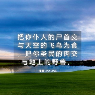 Picture 05 - 诗 篇 79:2 CUVS - 把 你 仆 人 的 尸 首 交 与 天 空 的 - Bible Verse Picture