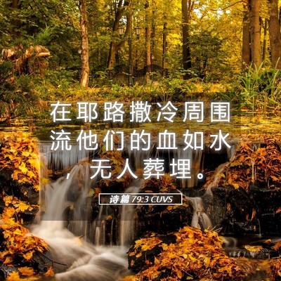 Picture 05 - 诗 篇 79:3 CUVS - 在 耶 路 撒 冷 周 围 流 他 们 的 血 - Bible Verse Picture