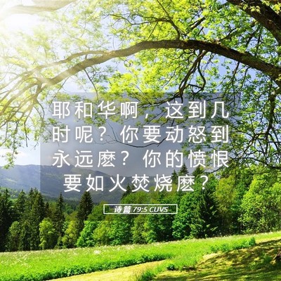 Picture 05 - 诗 篇 79:5 CUVS - 耶 和 华 啊 ， 这 到 几 时 呢 ？ 你 - Bible Verse Picture