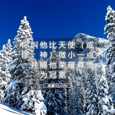 Picture 05 - 诗 篇 8:5 CUVS - 你 叫 他 比 天 使 （ 或 译 ： 神 ） - Bible Verse Picture