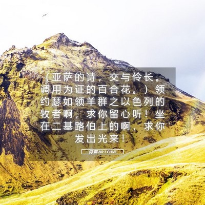 Picture 05 - 诗 篇 80:1 CUVS - （ 亚 萨 的 诗 ， 交 与 伶 长 。 调 - Bible Verse Picture