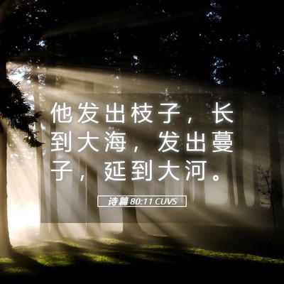 Picture 05 - 诗 篇 80:11 CUVS - 他 发 出 枝 子 ， 长 到 大 海 ， 发 - Bible Verse Picture
