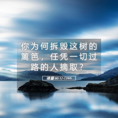 Picture 05 - 诗 篇 80:12 CUVS - 你 为 何 拆 毁 这 树 的 篱 笆 ， 任 - Bible Verse Picture