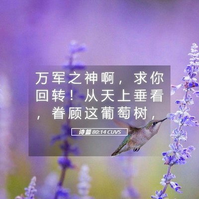 Picture 05 - 诗 篇 80:14 CUVS - 万 军 之 神 啊 ， 求 你 回 转 ！ 从 - Bible Verse Picture