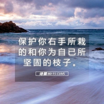 Picture 05 - 诗 篇 80:15 CUVS - 保 护 你 右 手 所 栽 的 和 你 为 自 - Bible Verse Picture
