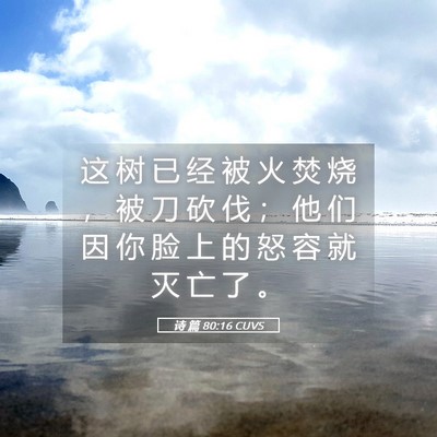 Picture 05 - 诗 篇 80:16 CUVS - 这 树 已 经 被 火 焚 烧 ， 被 刀 砍 - Bible Verse Picture