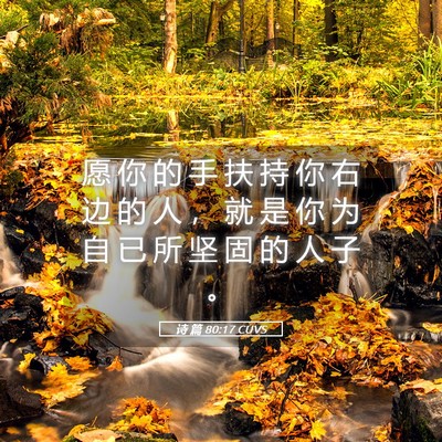 Picture 05 - 诗 篇 80:17 CUVS - 愿 你 的 手 扶 持 你 右 边 的 人 ， - Bible Verse Picture