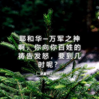 Picture 05 - 诗 篇 80:4 CUVS - 耶 和 华 ─ 万 军 之 神 啊 ， 你 向 - Bible Verse Picture