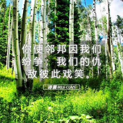 Picture 05 - 诗 篇 80:6 CUVS - 你 使 邻 邦 因 我 们 纷 争 ； 我 们 - Bible Verse Picture