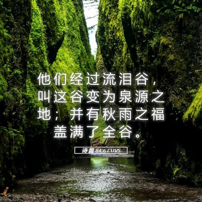 Picture 05 - 诗 篇 84:6 CUVS - 他 们 经 过 流 泪 谷 ， 叫 这 谷 变 - Bible Verse Picture