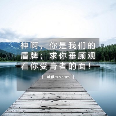 Picture 05 - 诗 篇 84:9 CUVS - 神 啊 ， 你 是 我 们 的 盾 牌 ； 求 - Bible Verse Picture