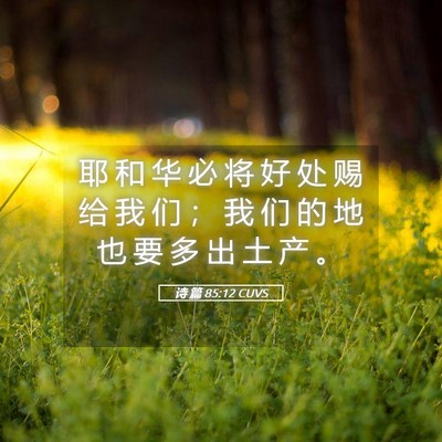 Picture 05 - 诗 篇 85:12 CUVS - 耶 和 华 必 将 好 处 赐 给 我 们 ； - Bible Verse Picture