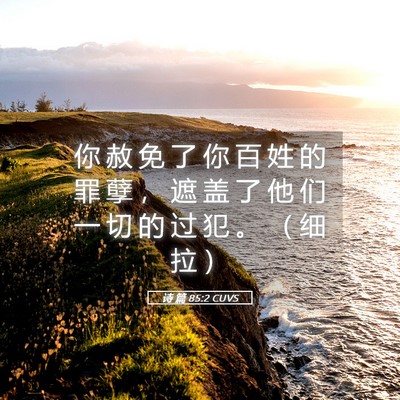 Picture 05 - 诗 篇 85:2 CUVS - 你 赦 免 了 你 百 姓 的 罪 孽 ， 遮 - Bible Verse Picture