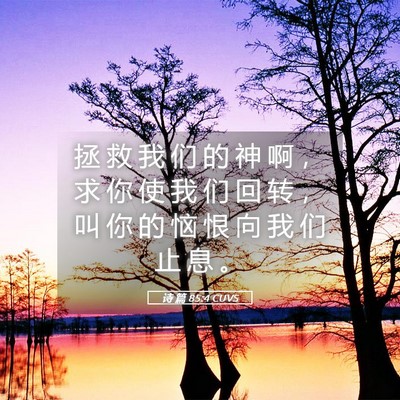 Picture 05 - 诗 篇 85:4 CUVS - 拯 救 我 们 的 神 啊 ， 求 你 使 我 - Bible Verse Picture