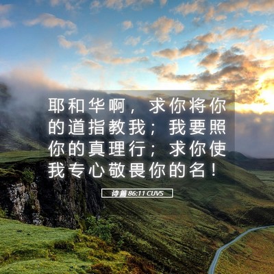 Picture 05 - 诗 篇 86:11 CUVS - 耶 和 华 啊 ， 求 你 将 你 的 道 指 - Bible Verse Picture