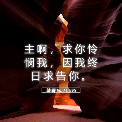 Picture 05 - 诗 篇 86:3 CUVS - 主 啊 ， 求 你 怜 悯 我 ， 因 我 终 - Bible Verse Picture