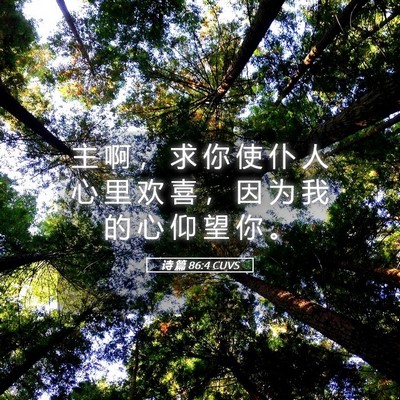 Picture 05 - 诗 篇 86:4 CUVS - 主 啊 ， 求 你 使 仆 人 心 里 欢 喜 - Bible Verse Picture