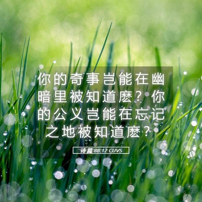 Picture 05 - 诗 篇 88:12 CUVS - 你 的 奇 事 岂 能 在 幽 暗 里 被 知 - Bible Verse Picture