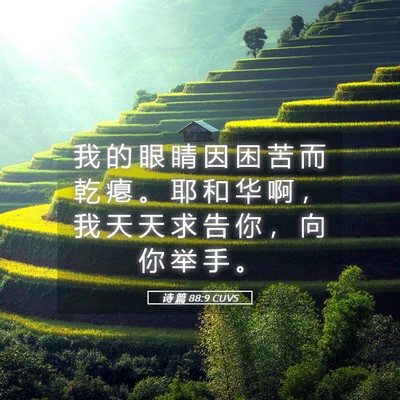Picture 05 - 诗 篇 88:9 CUVS - 我 的 眼 睛 因 困 苦 而 乾 瘪 。 耶 - Bible Verse Picture