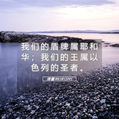 Picture 05 - 诗 篇 89:18 CUVS - 我 们 的 盾 牌 属 耶 和 华 ； 我 们 - Bible Verse Picture
