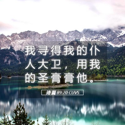 Picture 05 - 诗 篇 89:20 CUVS - 我 寻 得 我 的 仆 人 大 卫 ， 用 我 - Bible Verse Picture