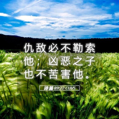 Picture 05 - 诗 篇 89:22 CUVS - 仇 敌 必 不 勒 索 他 ； 凶 恶 之 子 - Bible Verse Picture