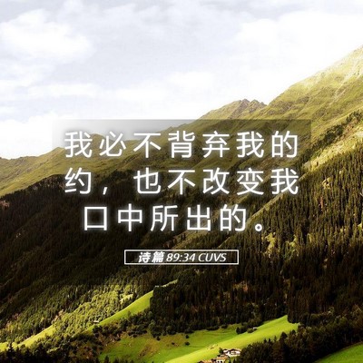 Picture 05 - 诗 篇 89:34 CUVS - 我 必 不 背 弃 我 的 约 ， 也 不 改 - Bible Verse Picture