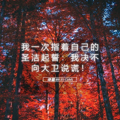 Picture 05 - 诗 篇 89:35 CUVS - 我 一 次 指 着 自 己 的 圣 洁 起 誓 - Bible Verse Picture