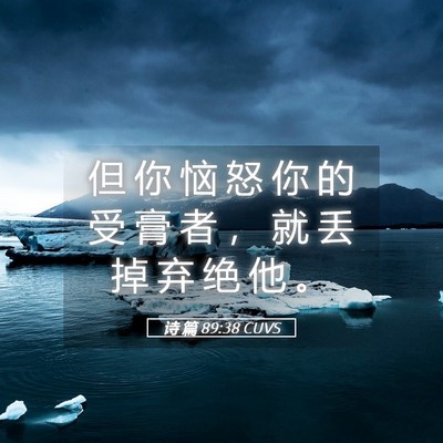 Picture 05 - 诗 篇 89:38 CUVS - 但 你 恼 怒 你 的 受 膏 者 ， 就 丢 - Bible Verse Picture