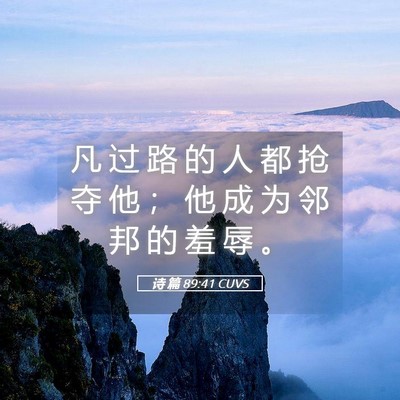 Picture 05 - 诗 篇 89:41 CUVS - 凡 过 路 的 人 都 抢 夺 他 ； 他 成 - Bible Verse Picture