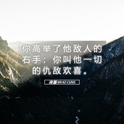 Picture 05 - 诗 篇 89:42 CUVS - 你 高 举 了 他 敌 人 的 右 手 ； 你 - Bible Verse Picture