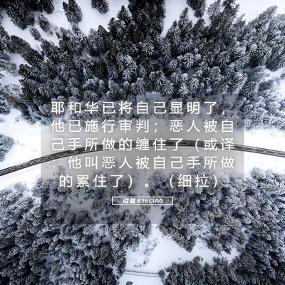 Picture 05 - 诗 篇 9:16 CUVS - 耶 和 华 已 将 自 己 显 明 了 ， 他 - Bible Verse Picture