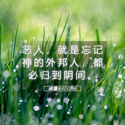 Picture 05 - 诗 篇 9:17 CUVS - 恶 人 ， 就 是 忘 记 神 的 外 邦 人 - Bible Verse Picture