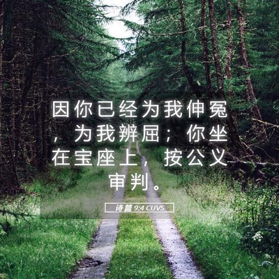 Picture 05 - 诗 篇 9:4 CUVS - 因 你 已 经 为 我 伸 冤 ， 为 我 辨 - Bible Verse Picture
