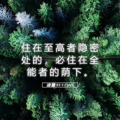 Picture 05 - 诗 篇 91:1 CUVS - 住 在 至 高 者 隐 密 处 的 ， 必 住 - Bible Verse Picture