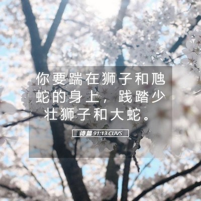 Picture 05 - 诗 篇 91:13 CUVS - 你 要 踹 在 狮 子 和 虺 蛇 的 身 上 - Bible Verse Picture