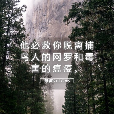 Picture 05 - 诗 篇 91:3 CUVS - 他 必 救 你 脱 离 捕 鸟 人 的 网 罗 - Bible Verse Picture