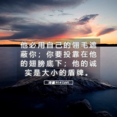 Picture 05 - 诗 篇 91:4 CUVS - 他 必 用 自 己 的 翎 毛 遮 蔽 你 ； - Bible Verse Picture