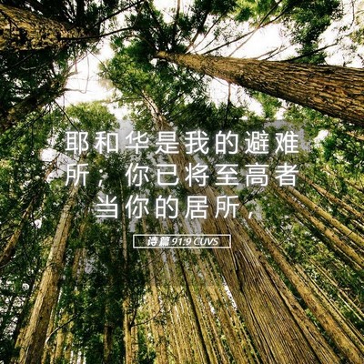 Picture 05 - 诗 篇 91:9 CUVS - 耶 和 华 是 我 的 避 难 所 ； 你 已 - Bible Verse Picture