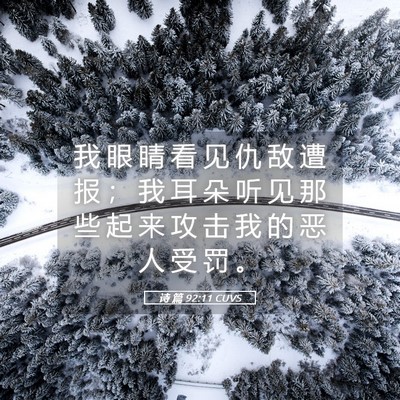 Picture 05 - 诗 篇 92:11 CUVS - 我 眼 睛 看 见 仇 敌 遭 报 ； 我 耳 - Bible Verse Picture