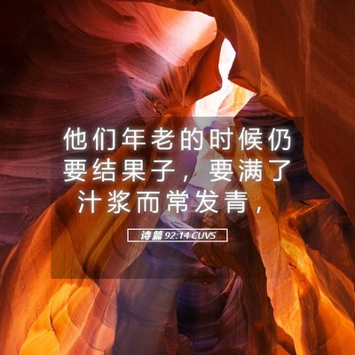 Picture 05 - 诗 篇 92:14 CUVS - 他 们 年 老 的 时 候 仍 要 结 果 子 - Bible Verse Picture