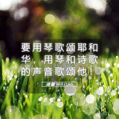 Picture 05 - 诗 篇 98:5 CUVS - 要 用 琴 歌 颂 耶 和 华 ， 用 琴 和 - Bible Verse Picture