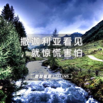 Picture 05 - 路 加 福 音 1:12 CUVS - 撒 迦 利 亚 看 见 ， 就 惊 慌 害 怕 - Bible Verse Picture