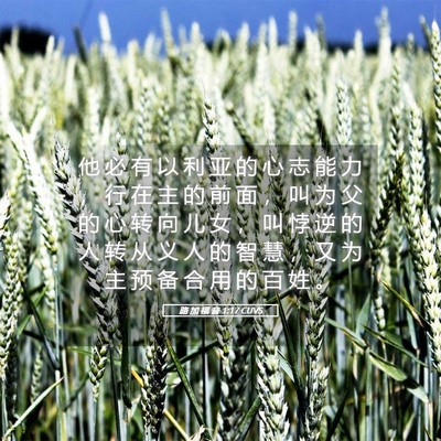 Picture 05 - 路 加 福 音 1:17 CUVS - 他 必 有 以 利 亚 的 心 志 能 力 ， - Bible Verse Picture