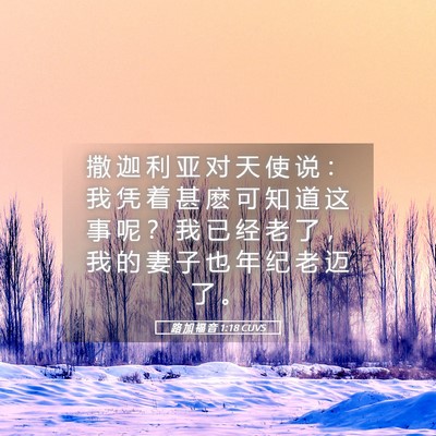 Picture 05 - 路 加 福 音 1:18 CUVS - 撒 迦 利 亚 对 天 使 说 ： 我 凭 着 - Bible Verse Picture
