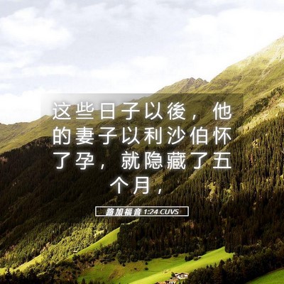 Picture 05 - 路 加 福 音 1:24 CUVS - 这 些 日 子 以 後 ， 他 的 妻 子 以 - Bible Verse Picture