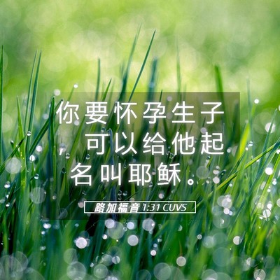 Picture 05 - 路 加 福 音 1:31 CUVS - 你 要 怀 孕 生 子 ， 可 以 给 他 起 - Bible Verse Picture
