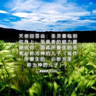 Picture 05 - 路 加 福 音 1:35 CUVS - 天 使 回 答 说 ： 圣 灵 要 临 到 你 - Bible Verse Picture