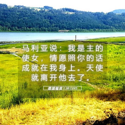 Picture 05 - 路 加 福 音 1:38 CUVS - 马 利 亚 说 ： 我 是 主 的 使 女 ， - Bible Verse Picture