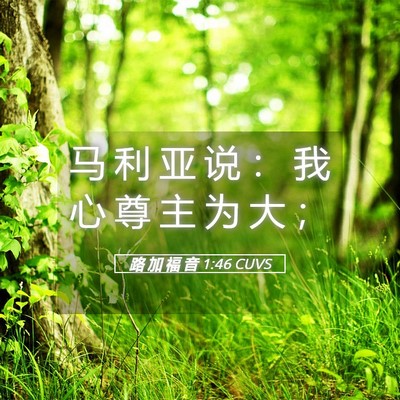 Picture 05 - 路 加 福 音 1:46 CUVS - 马 利 亚 说 ： 我 心 尊 主 为 大 - Bible Verse Picture